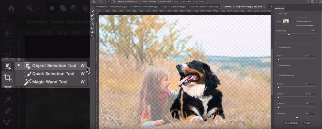 Photoshop Object Selection tool