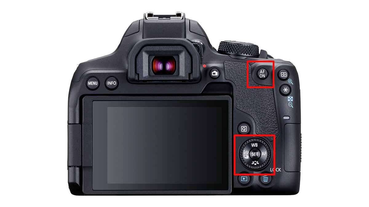 Canon EOS Rebel T8i APS-C DSLR Video Specs, Price, and new features